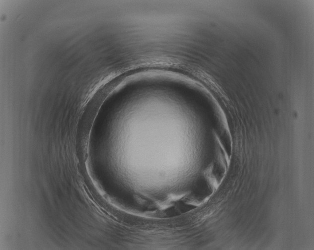 X0000062880434200601171451