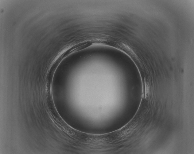 X0000062880435200601171451