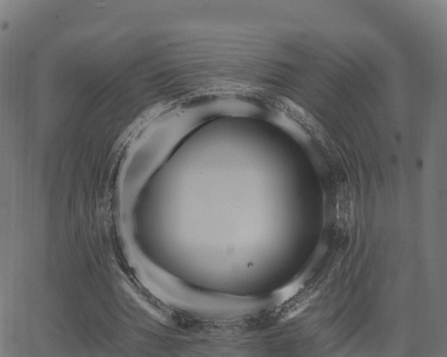 X0000062880436200601171451