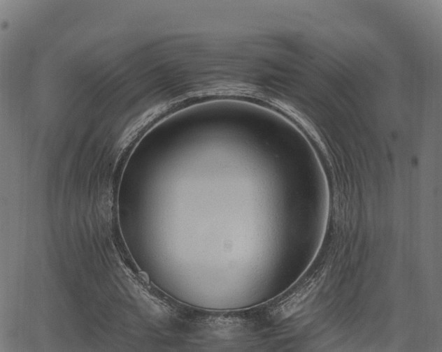 X0000062880437200601171451