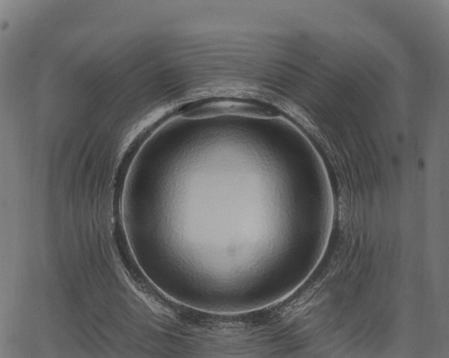 X0000062880438200601171451