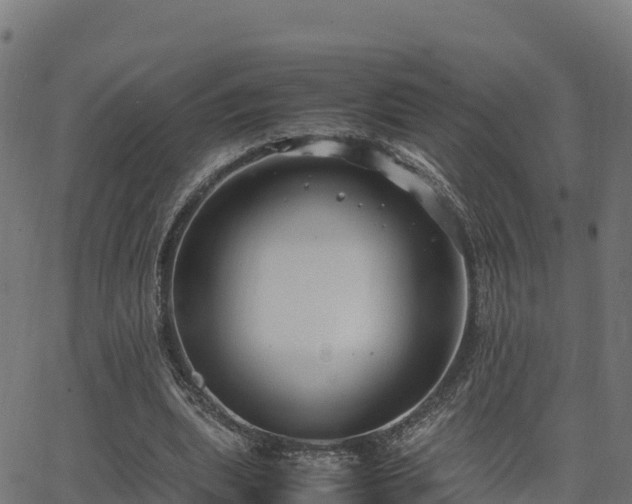 X0000062880439200601171451