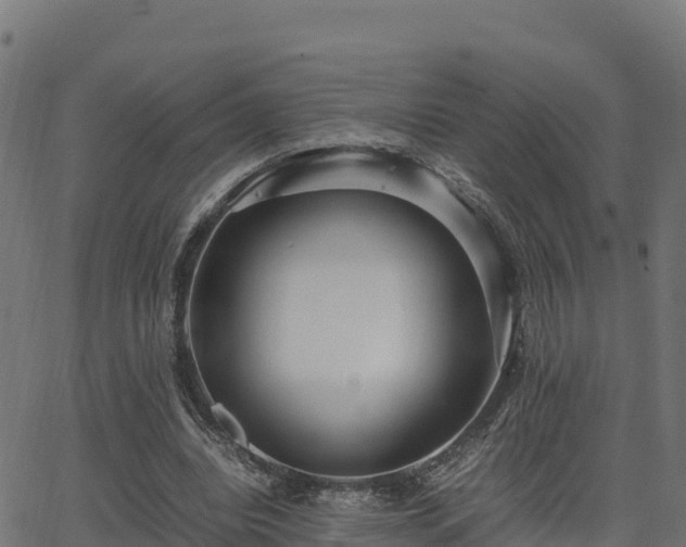 X0000062880440200601171451