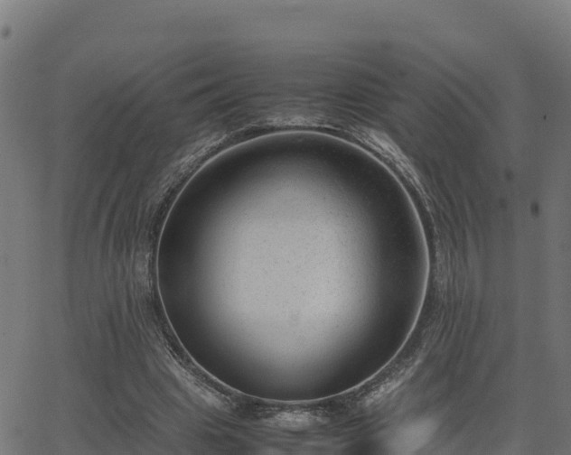 X0000062880441200601171451