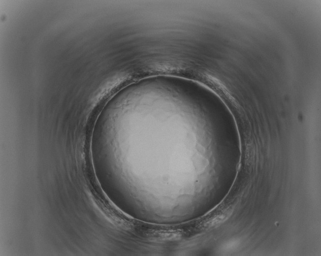 X0000062880443200601171451