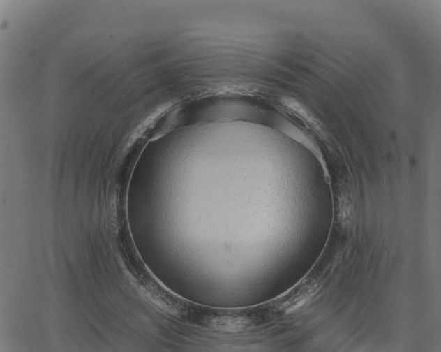 X0000062880444200601171452