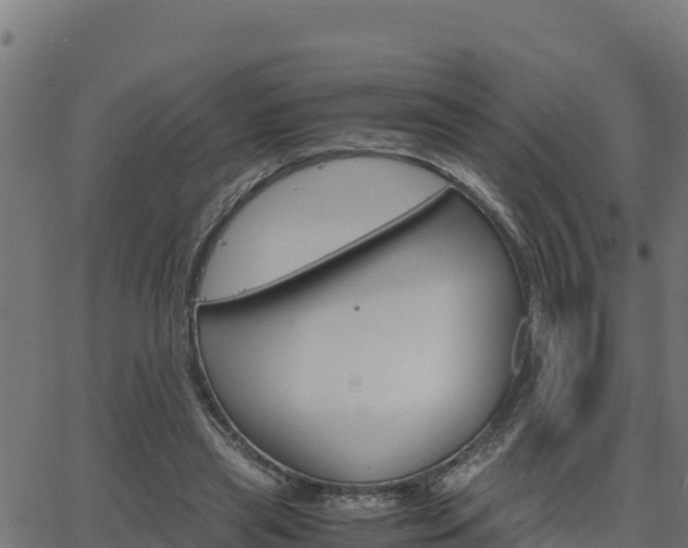 X0000062880445200601171452