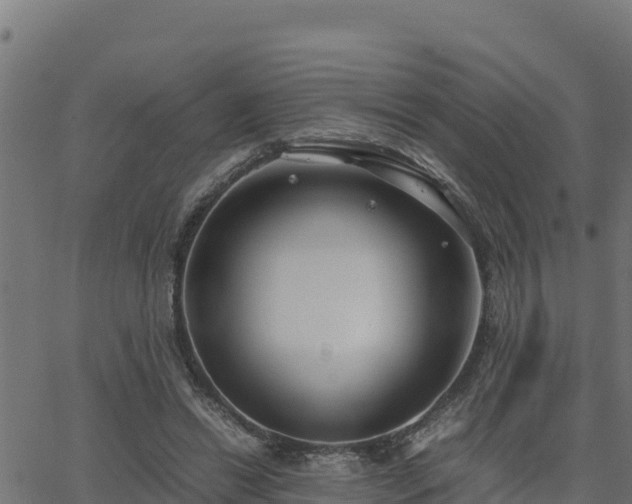 X0000062880446200601171452