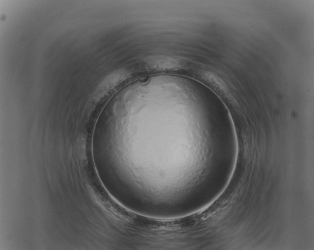 X0000062880447200601171452