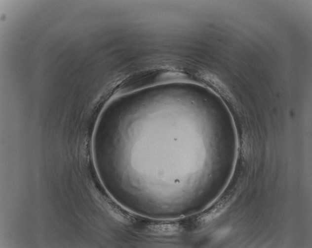 X0000062880449200601171452