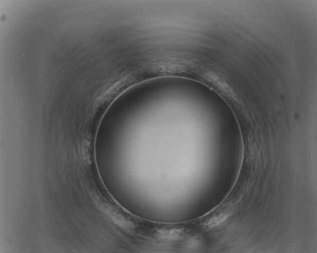 X0000062880450200601171452