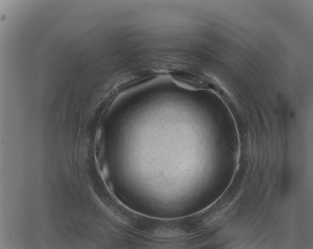 X0000062880451200601171452