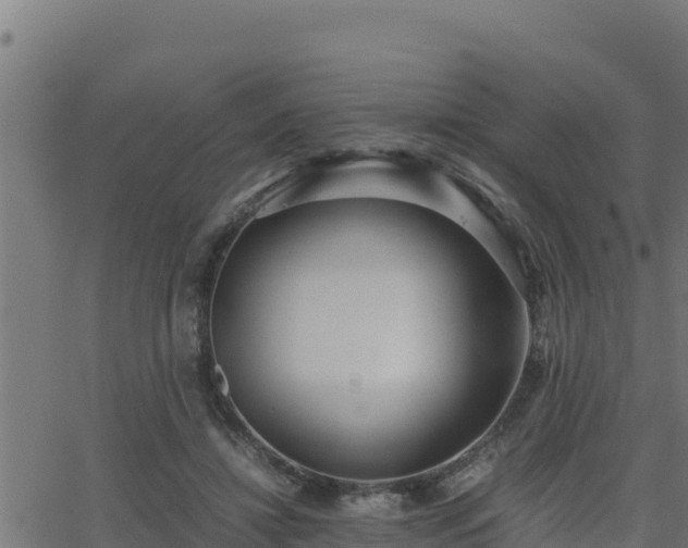 X0000062880452200601171452