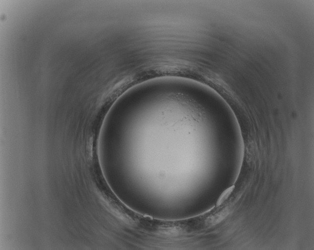 X0000062880454200601171452