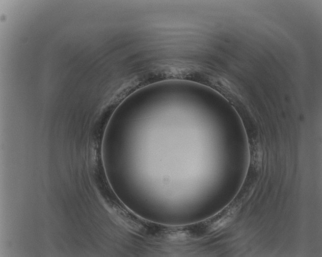 X0000062880456200601171452