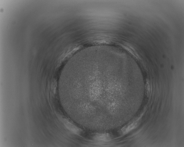 X0000062880458200601171452