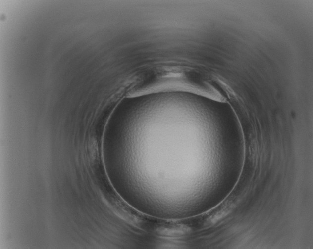 X0000062880459200601171452