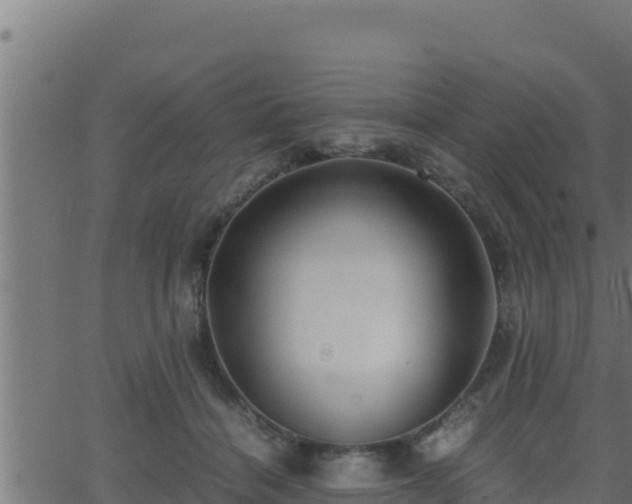 X0000062880460200601171452