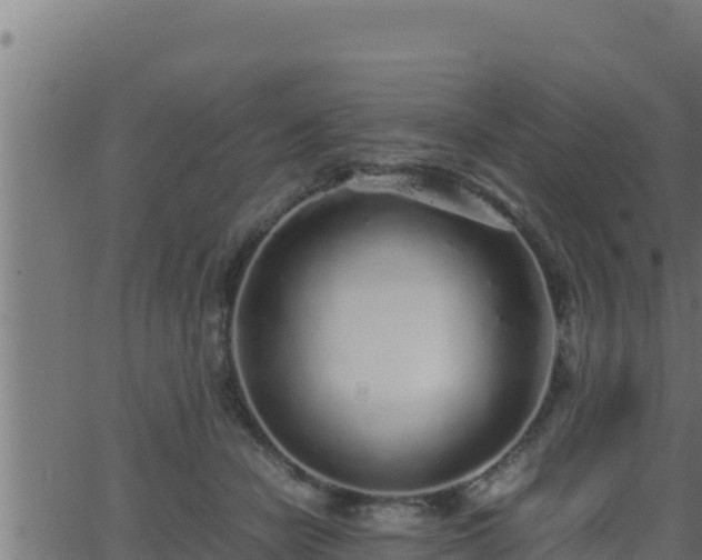 X0000062880462200601171452