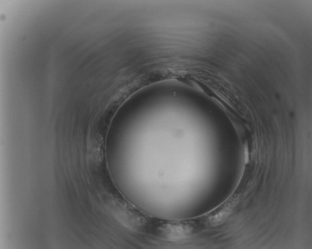 X0000062880464200601171452