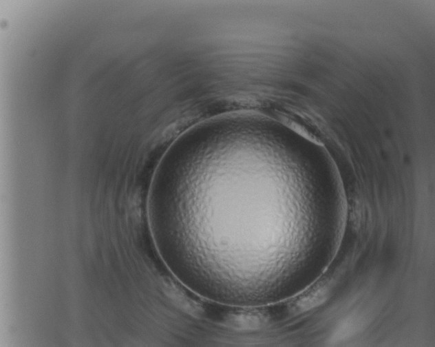 X0000062880466200601171452