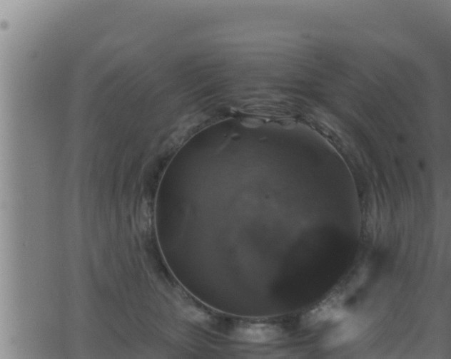 X0000062880467200601171452