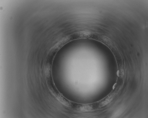 X0000062880468200601171452