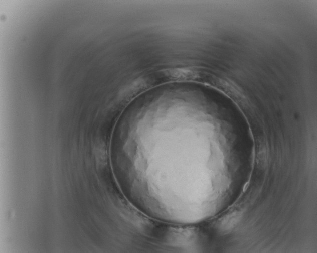 X0000062880469200601171452