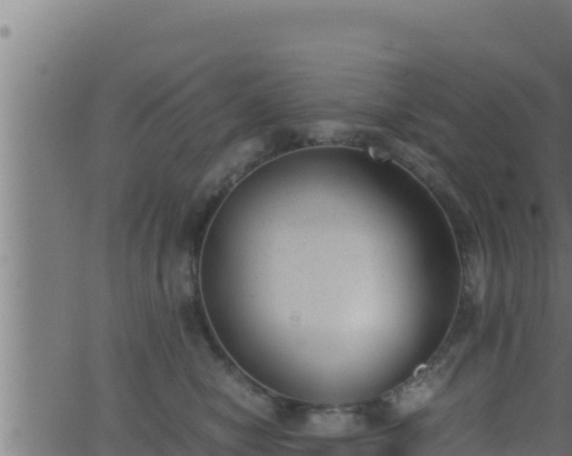 X0000062880470200601171452