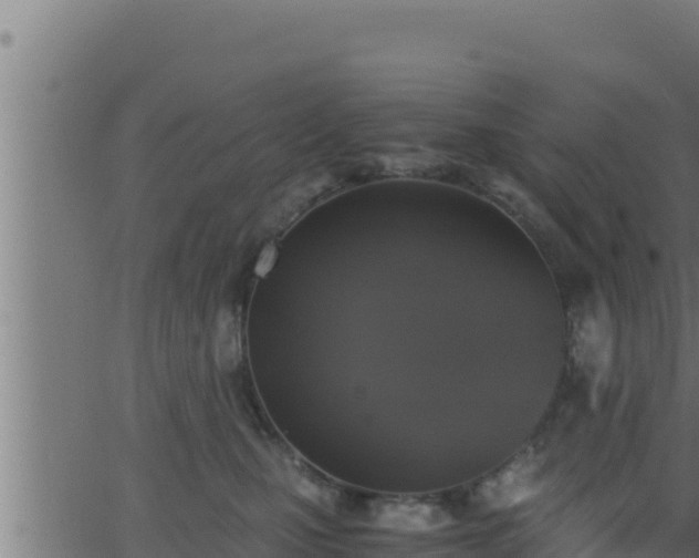 X0000062880471200601171452