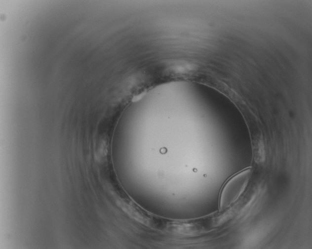 X0000062880472200601171452