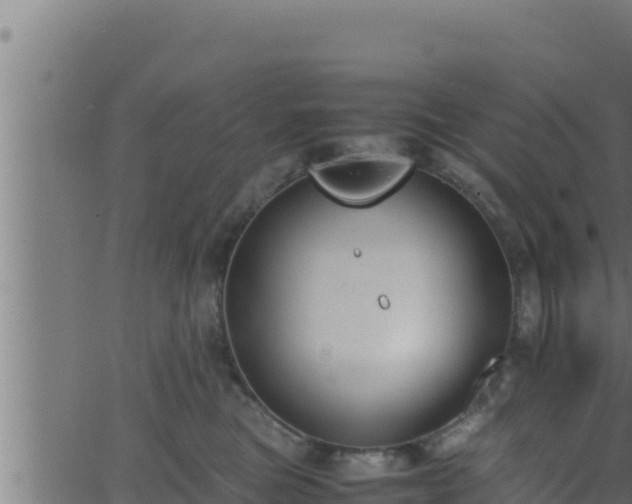 X0000062880473200601171452