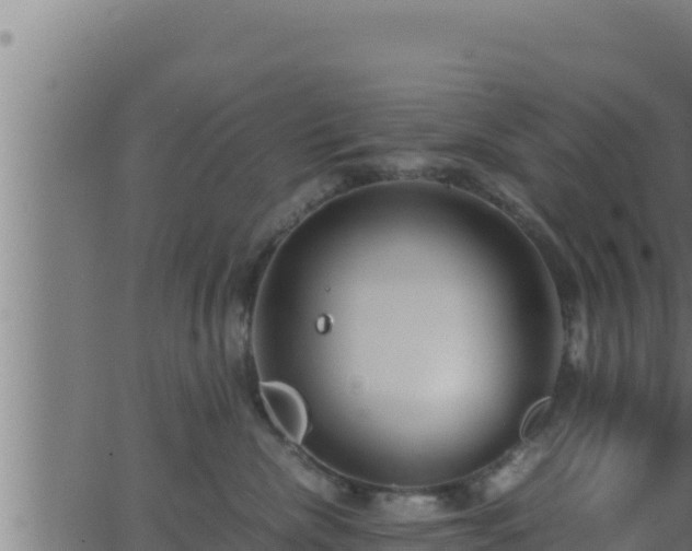 X0000062880476200601171452