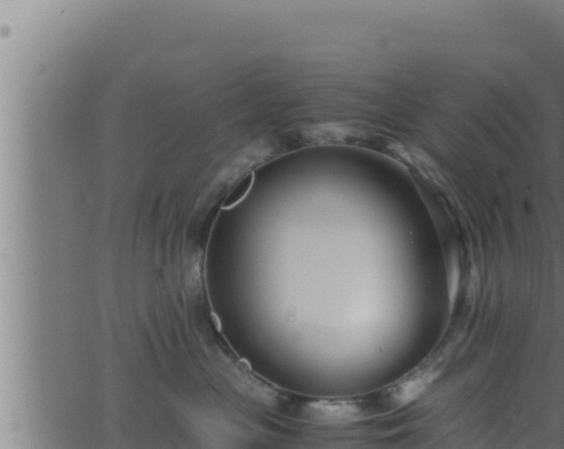 X0000062880477200601171452