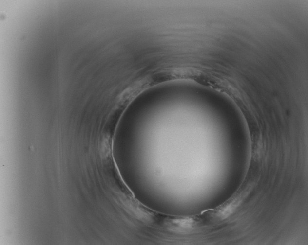 X0000062880478200601171452