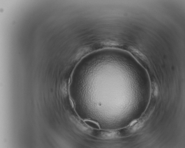 X0000062880479200601171452