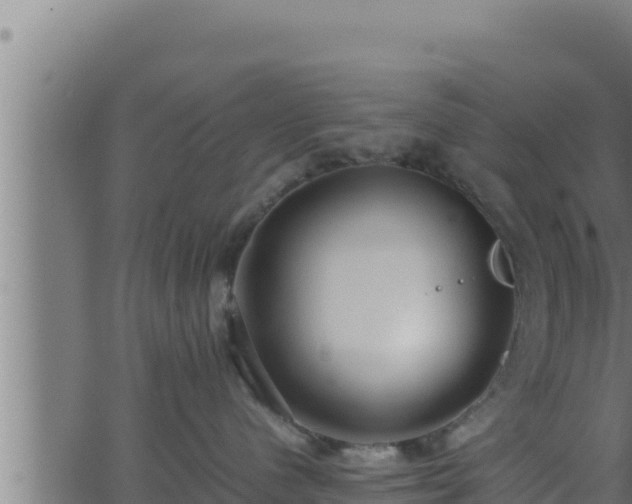 X0000062880480200601171452