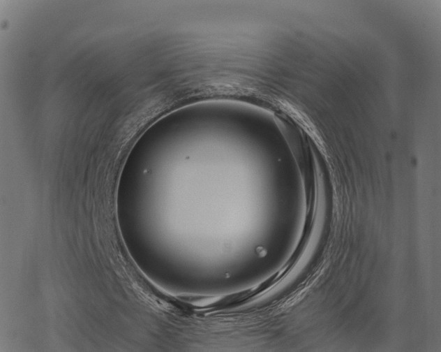 X0000062880481200601171451