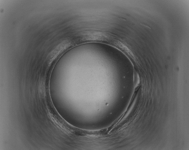 X0000062880482200601171451