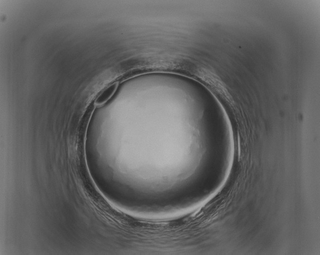 X0000062880483200601171451