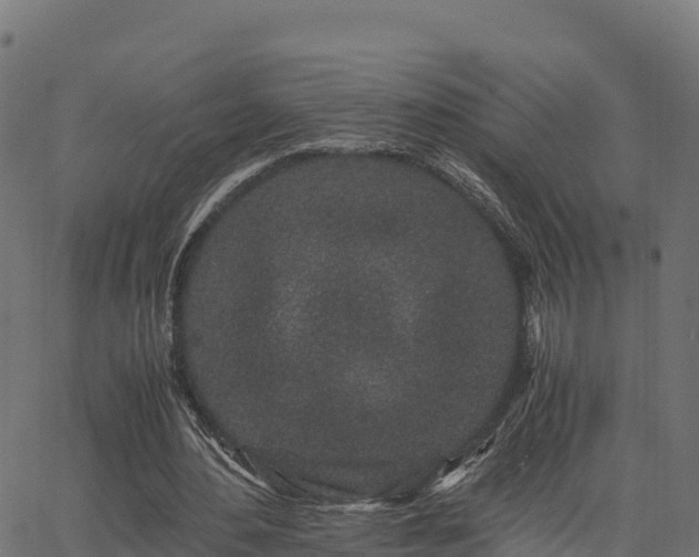 X0000062880484200601171451