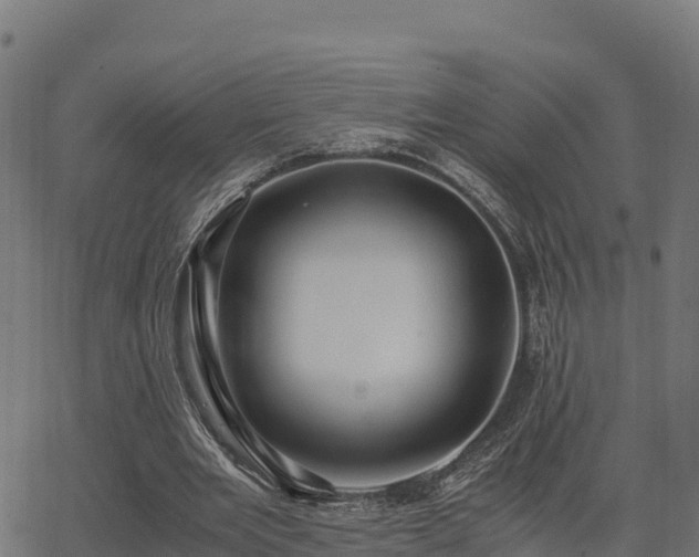 X0000062880485200601171451