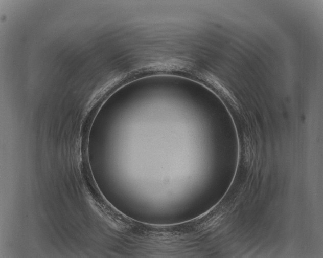 X0000062880486200601171451