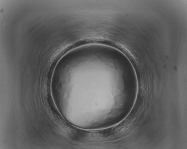 X0000062880487200601171451