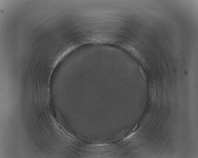 X0000062880488200601171451