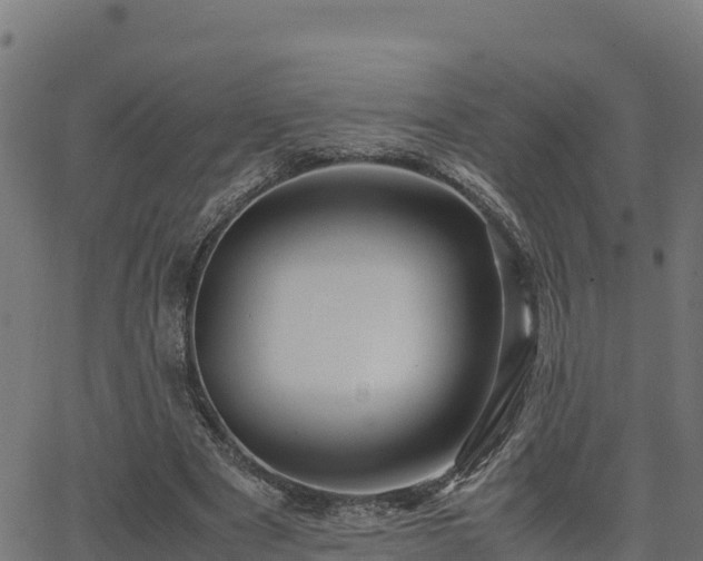 X0000062880489200601171451