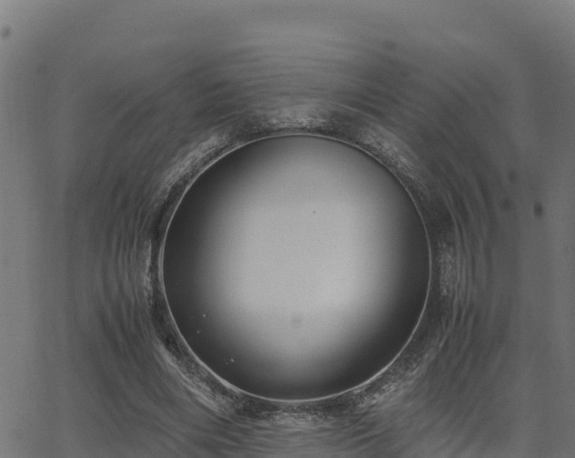 X0000062880490200601171451