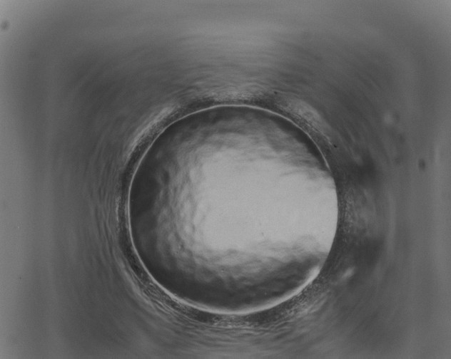 X0000062880491200601171451