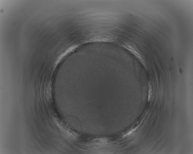 X0000062880492200601171451