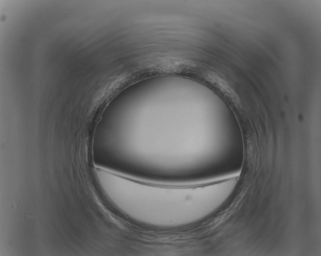 X0000062880493200601171451